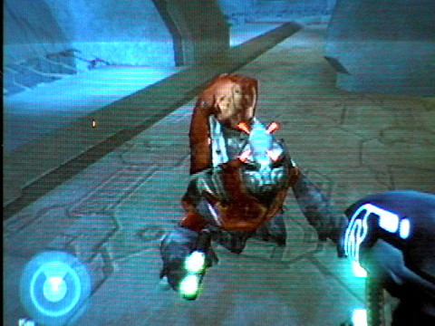 Stupid Grunt