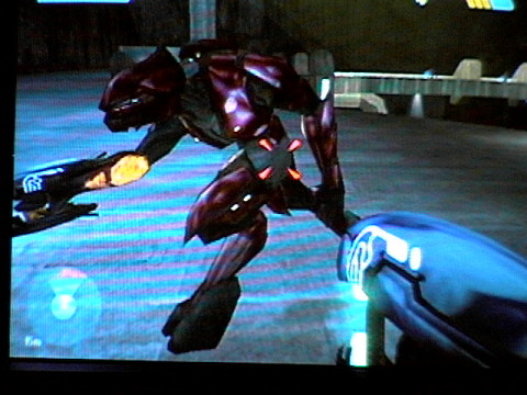 That's right, Run!