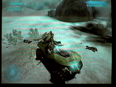 Warthog